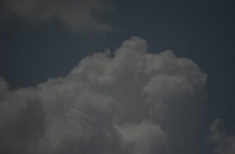 pretendovat ton airdrop na starknet poshagovo