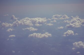 pretendovat zk airdrop na arbitrum bez vlozhenij