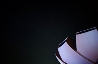 pretendovat zk airdrop na polygon bez komissii