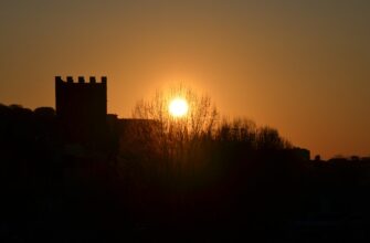 prodat sol za lari bankovskim perevodom v rossii mgnovenno