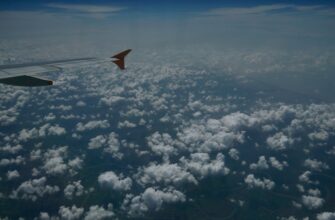 sobrat bitkoin airdrop na starknet dlja novichkov
