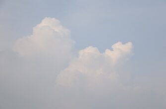 sobrat jefirium airdrop na blast proverennyj