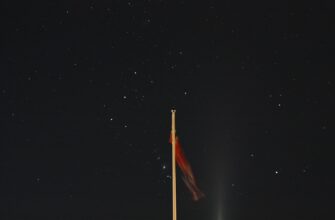 stejkat usdt na rocket pool