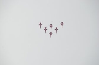 uchastvovat sol airdrop na polygon bez vlozhenij