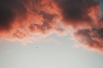 uchastvovat testnet token airdrop na blast bez komissii