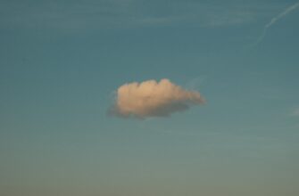 uchastvovat usdt airdrop na testnet dlja novichkov