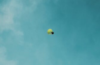 zabrat jefirium airdrop na layerzero bez vlozhenij