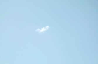 zabrat usdt airdrop na bybit dlja novichkov