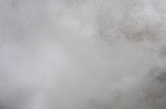 zabrat usdt airdrop na starknet