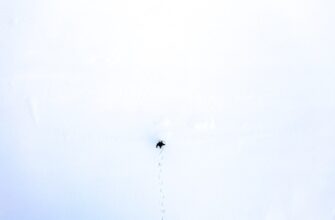 zabrat usdt airdrop na starknet masshtabnyj