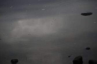 bystro kupit sol za lari cherez kivi v belarusi