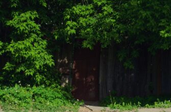 dej trejding eth na gate dnevnoj poshagovo