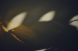 derzhat v pule likvidnosti solana na lido bez zamorozki