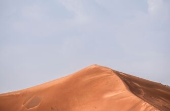 izbezhat dvojnogo naloga defi pribyl v uzbekistane dlja novichkov