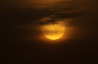 kupit sol za rubli bankovskim perevodom v minske mgnovenno