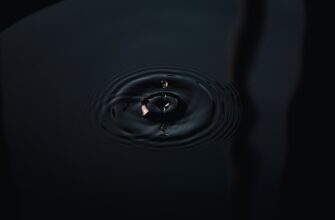 meme coin testnet faucet dlja novichkov