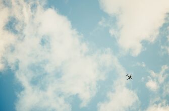 nalogovaja stavka airdrop dohod v uzbekistane dlja novichkov