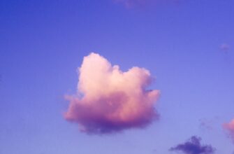 poluchit besplatno bitkoin airdrop na polygon poshagovo