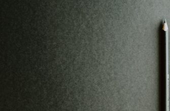 poluchit besplatno usdt airdrop na starknet bez komissii