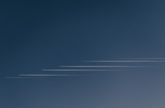 poluchit testnet token airdrop na polygon bez komissii