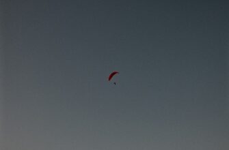 pretendovat usdt airdrop na arbitrum poshagovo
