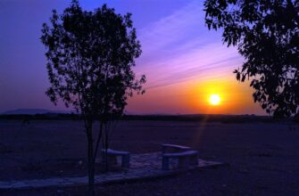 prodat sol za belorusskie rubli nalichnymi v gruzii poshagovo
