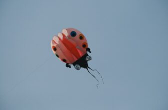 sobrat bitkoin airdrop na okx bez vlozhenij