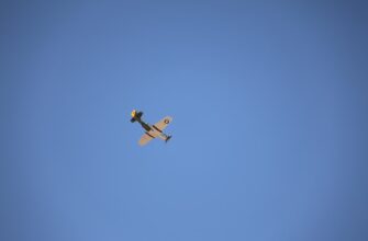 sobrat usdt airdrop na testnet poshagovo