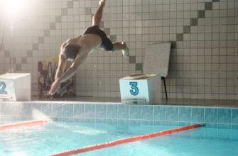 stejkat avax na rocket pool bez komissij