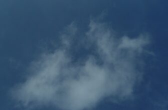 uchastvovat ton airdrop na arbitrum bez komissii