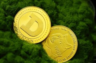 kak anonimizirovat kripto kosheljok oflajn dlja novichkov