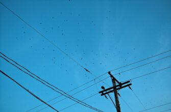 kak pretendovat testnet token airdrop bez kyc