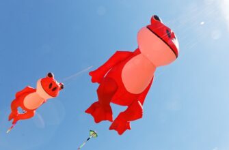 poluchit besplatno pepe airdrop na binance bez kyc