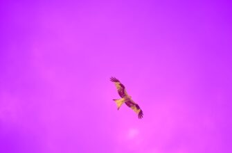 poluchit besplatno pepe airdrop na blast bez vlozhenij