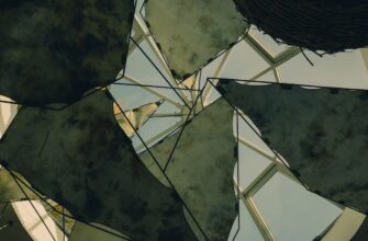 poluchit besplatno sol airdrop na polygon poshagovo