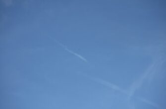 pretendovat zk airdrop na polygon